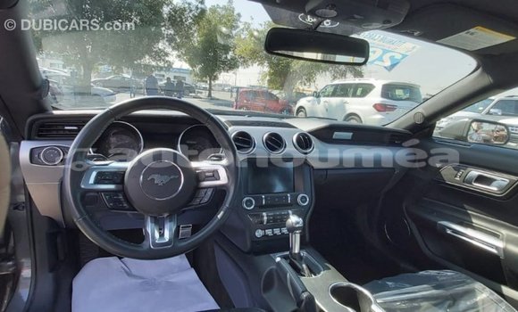 Buy Import Ford Mustang Other Car in Import - Dubai in Iles Buy Import Ford Mustang Other Car in Import - Dubai in Iles