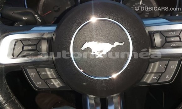 Buy Import Ford Mustang Red Car in Import - Dubai in Iles Buy Import Ford Mustang Red Car in Import - Dubai in Iles