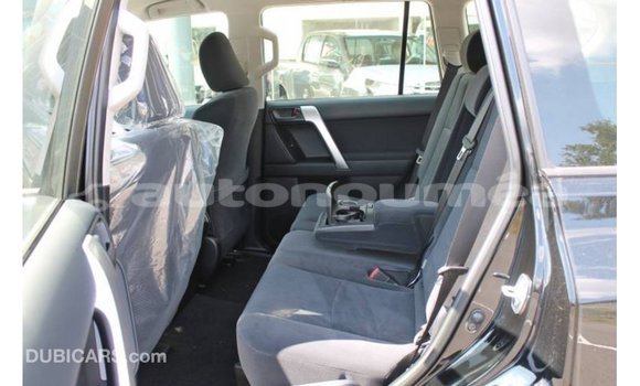 Buy Import Toyota Hilux Black Car in Import - Dubai in Iles Buy Import Toyota Hilux Black Car in Import - Dubai in Iles