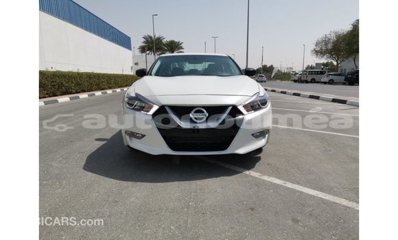 Acheter Import Voiture Nissan Maxima Blanc à Import - Dubai, Iles Acheter Import Voiture Nissan Maxima Blanc à Import - Dubai, Iles