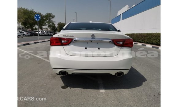 Acheter Import Voiture Nissan Maxima Blanc à Import - Dubai, Iles Acheter Import Voiture Nissan Maxima Blanc à Import - Dubai, Iles