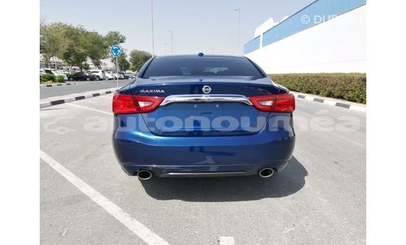 Acheter Import Voiture Nissan Maxima Bleu à Import - Dubai, Iles Acheter Import Voiture Nissan Maxima Bleu à Import - Dubai, Iles