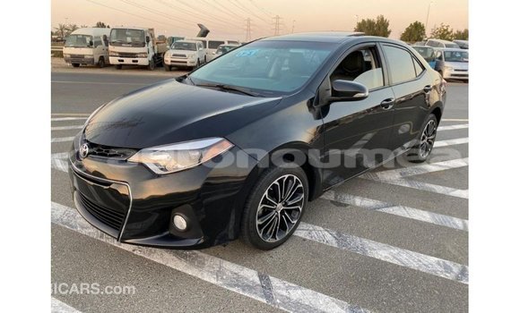 Acheter Import Voiture Toyota Corolla Noir à Import - Dubai, Iles Acheter Import Voiture Toyota Corolla Noir à Import - Dubai, Iles