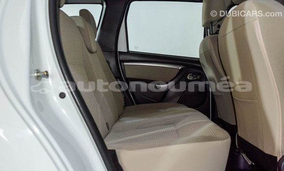 Buy Import Renault Duster White Car in Import - Dubai in Iles Buy Import Renault Duster White Car in Import - Dubai in Iles