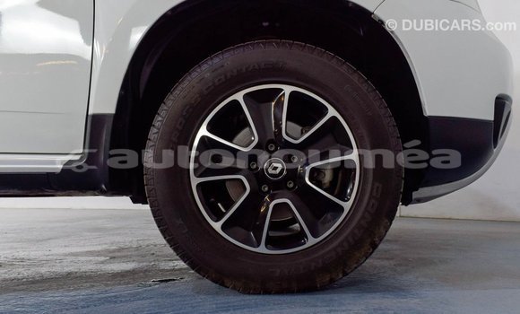 Buy Import Renault Duster White Car in Import - Dubai in Iles Buy Import Renault Duster White Car in Import - Dubai in Iles