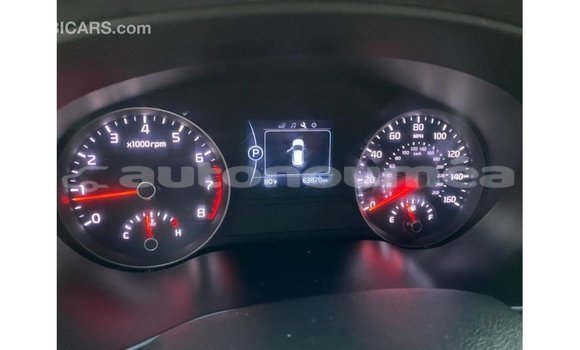 Acheter Import Voiture Kia Sportage Blanc à Import - Dubai, Iles Acheter Import Voiture Kia Sportage Blanc à Import - Dubai, Iles