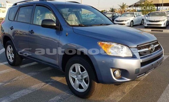 Acheter Import Voiture Toyota RAV4 Bleu à Import - Dubai, Iles Acheter Import Voiture Toyota RAV4 Bleu à Import - Dubai, Iles