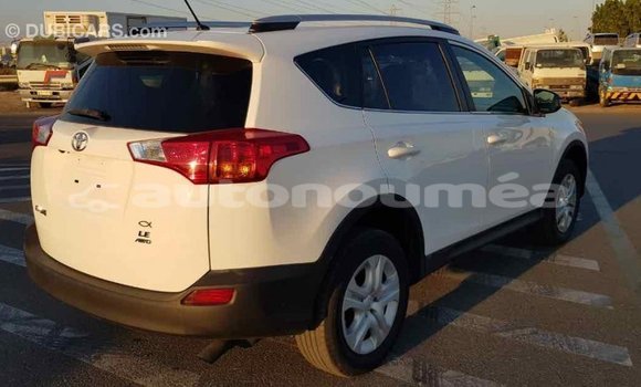 Acheter Import Voiture Toyota RAV4 Blanc à Import - Dubai, Iles Acheter Import Voiture Toyota RAV4 Blanc à Import - Dubai, Iles