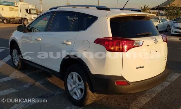 Acheter Import Voiture Toyota RAV4 Blanc à Import - Dubai, Iles Acheter Import Voiture Toyota RAV4 Blanc à Import - Dubai, Iles