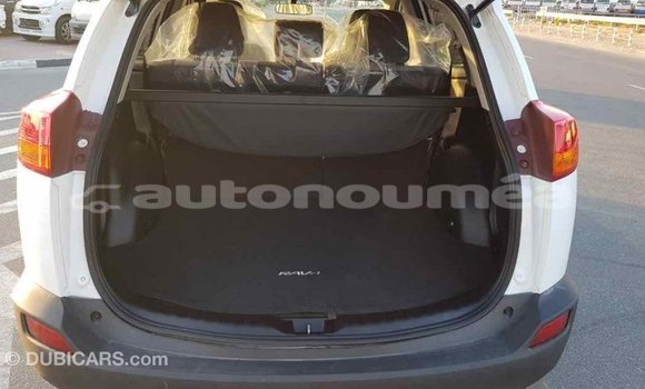 Acheter Import Voiture Toyota RAV4 Blanc à Import - Dubai, Iles Acheter Import Voiture Toyota RAV4 Blanc à Import - Dubai, Iles