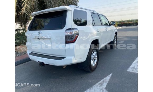 Buy Import Toyota HiAce White Truck in Import - Dubai in Iles Buy Import Toyota HiAce White Truck in Import - Dubai in Iles