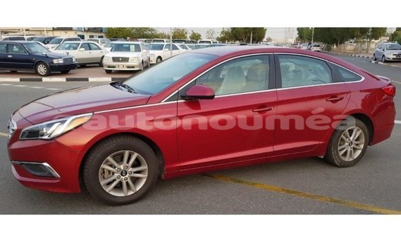 Buy Import Hyundai Sonata Red Car in Import - Dubai in Iles Buy Import Hyundai Sonata Red Car in Import - Dubai in Iles