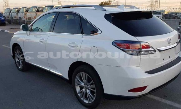 Acheter Import Voiture Lexus RX 350 Blanc à Import - Dubai, Iles Acheter Import Voiture Lexus RX 350 Blanc à Import - Dubai, Iles