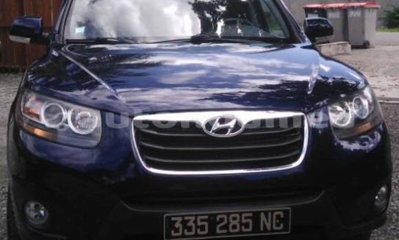 Buy Used Hyundai Santa Other Car in Canala in Nord