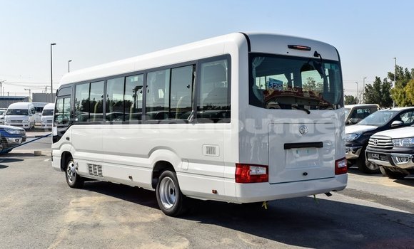 Buy Import Toyota Coaster White Car in Import - Dubai in Iles Buy Import Toyota Coaster White Car in Import - Dubai in Iles