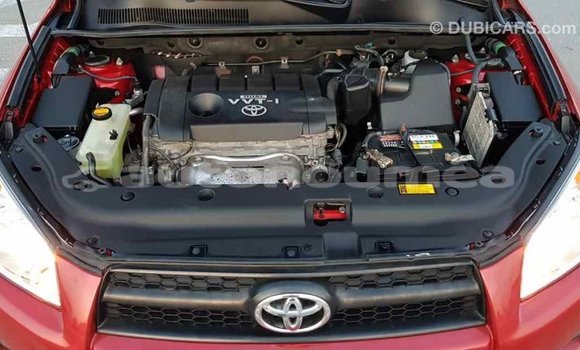 Acheter Import Voiture Toyota RAV4 Rouge à Import - Dubai, Iles Acheter Import Voiture Toyota RAV4 Rouge à Import - Dubai, Iles