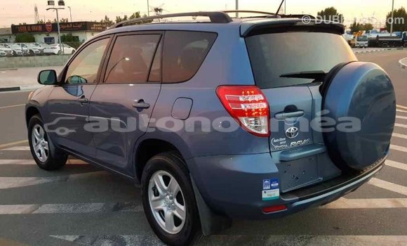 Acheter Import Voiture Toyota RAV4 Bleu à Import - Dubai, Iles Acheter Import Voiture Toyota RAV4 Bleu à Import - Dubai, Iles