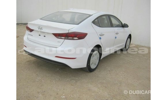 Acheter Import Voiture Hyundai Elantra Blanc à Import - Dubai, Iles Acheter Import Voiture Hyundai Elantra Blanc à Import - Dubai, Iles