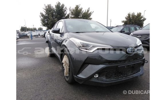 Buy Import Toyota C-HR Other Car in Import - Dubai in Iles Buy Import Toyota C-HR Other Car in Import - Dubai in Iles