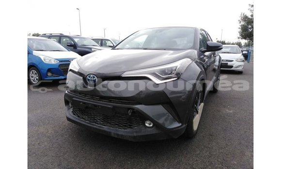 Buy Import Toyota C-HR Other Car in Import - Dubai in Iles Buy Import Toyota C-HR Other Car in Import - Dubai in Iles