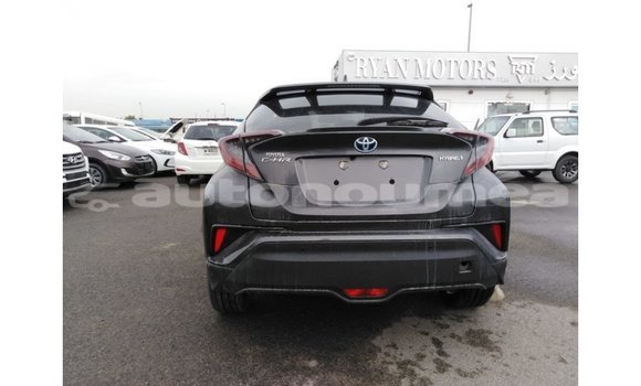 Buy Import Toyota C-HR Other Car in Import - Dubai in Iles Buy Import Toyota C-HR Other Car in Import - Dubai in Iles