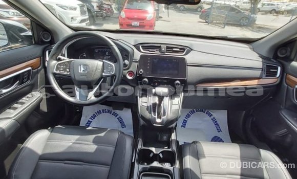 Buy Import Honda C Other Bike in Import - Dubai in Iles Buy Import Honda C Other Bike in Import - Dubai in Iles