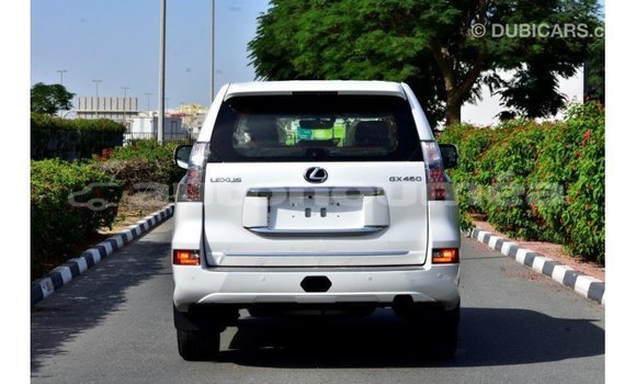 Acheter Import Voiture Lexus GX Blanc à Import - Dubai, Iles Acheter Import Voiture Lexus GX Blanc à Import - Dubai, Iles