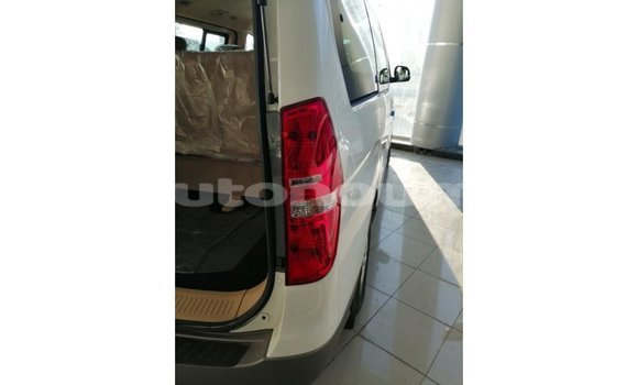 Buy Import Hyundai Chorus White Truck in Import - Dubai in Iles Buy Import Hyundai Chorus White Truck in Import - Dubai in Iles