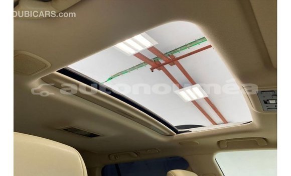 Acheter Import Voiture Toyota Land Cruiser Blanc à Import - Dubai, Iles Acheter Import Voiture Toyota Land Cruiser Blanc à Import - Dubai, Iles