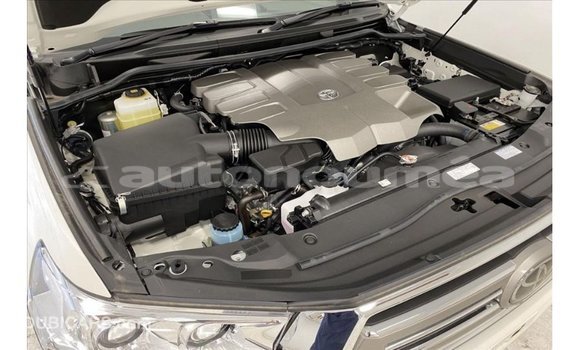 Acheter Import Voiture Toyota Land Cruiser Blanc à Import - Dubai, Iles Acheter Import Voiture Toyota Land Cruiser Blanc à Import - Dubai, Iles