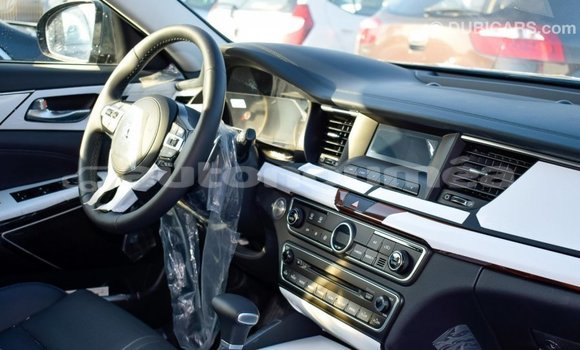 Acheter Import Voiture Kia Cadenza Autre à Import - Dubai, Iles Acheter Import Voiture Kia Cadenza Autre à Import - Dubai, Iles