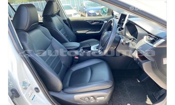 Acheter Import Utilitaire Toyota HiAce Blanc à Import - Dubai, Iles Acheter Import Utilitaire Toyota HiAce Blanc à Import - Dubai, Iles