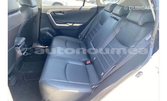 Acheter Import Utilitaire Toyota HiAce Blanc à Import - Dubai, Iles Acheter Import Utilitaire Toyota HiAce Blanc à Import - Dubai, Iles