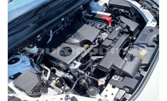 Acheter Import Utilitaire Toyota HiAce Blanc à Import - Dubai, Iles Acheter Import Utilitaire Toyota HiAce Blanc à Import - Dubai, Iles