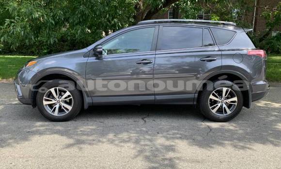 Acheter Occasion Voiture Toyota RAV4 Beige à Noumea, Sud Acheter Occasion Voiture Toyota RAV4 Beige à Noumea, Sud