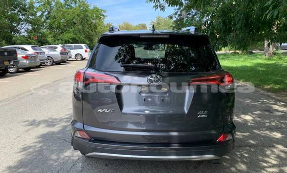 Acheter Occasion Voiture Toyota RAV4 Beige à Noumea, Sud Acheter Occasion Voiture Toyota RAV4 Beige à Noumea, Sud