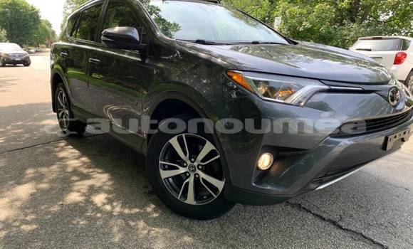 Acheter Occasion Voiture Toyota RAV4 Beige à Noumea, Sud Acheter Occasion Voiture Toyota RAV4 Beige à Noumea, Sud