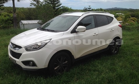 Buy Used Hyundai Tucson Other Car in Ouegoa in Nord