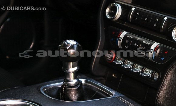 Acheter Import Voiture Ford Mustang Vert à Import - Dubai, Iles Acheter Import Voiture Ford Mustang Vert à Import - Dubai, Iles