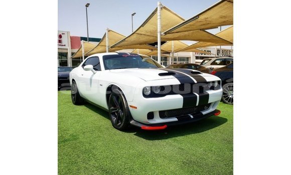 Acheter Import Voiture Dodge Challenger Blanc à Import - Dubai, Iles Acheter Import Voiture Dodge Challenger Blanc à Import - Dubai, Iles