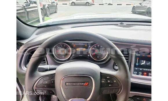 Acheter Import Voiture Dodge Challenger Blanc à Import - Dubai, Iles Acheter Import Voiture Dodge Challenger Blanc à Import - Dubai, Iles