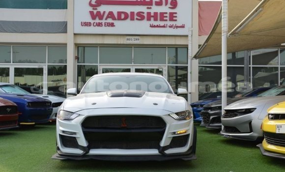 Acheter Import Voiture Ford Mustang Blanc à Import - Dubai, Iles Acheter Import Voiture Ford Mustang Blanc à Import - Dubai, Iles