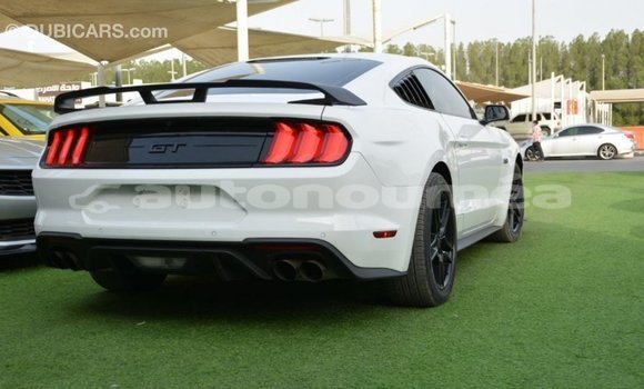 Acheter Import Voiture Ford Mustang Blanc à Import - Dubai, Iles Acheter Import Voiture Ford Mustang Blanc à Import - Dubai, Iles