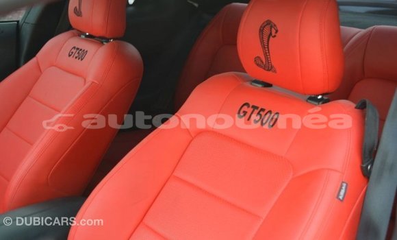 Acheter Import Voiture Ford Mustang Blanc à Import - Dubai, Iles Acheter Import Voiture Ford Mustang Blanc à Import - Dubai, Iles