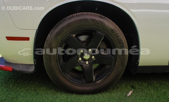 Acheter Import Voiture Dodge Challenger Blanc à Import - Dubai, Iles Acheter Import Voiture Dodge Challenger Blanc à Import - Dubai, Iles