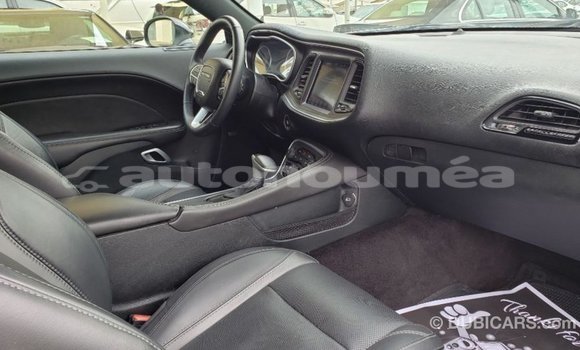 Acheter Import Voiture Dodge Challenger Blanc à Import - Dubai, Iles Acheter Import Voiture Dodge Challenger Blanc à Import - Dubai, Iles