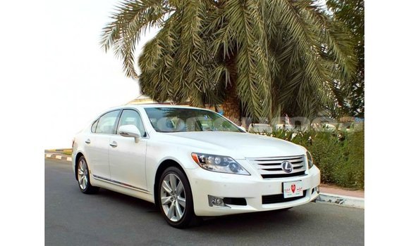 Acheter Import Voiture Lexus LS Blanc à Import - Dubai, Iles Acheter Import Voiture Lexus LS Blanc à Import - Dubai, Iles