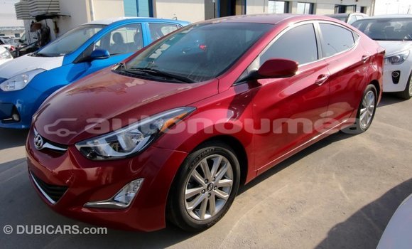 Acheter Import Voiture Hyundai Elantra Rouge à Import - Dubai, Iles Acheter Import Voiture Hyundai Elantra Rouge à Import - Dubai, Iles