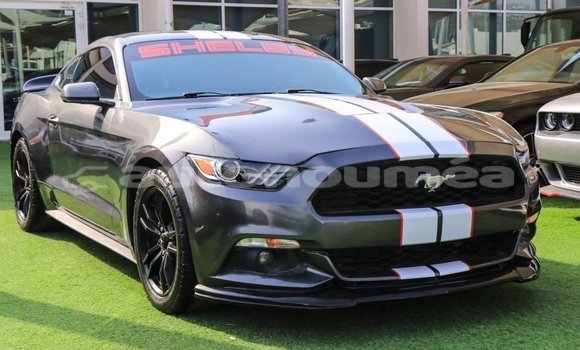 Buy Import Ford Mustang Other Car in Import - Dubai in Iles