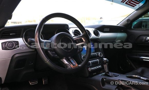 Acheter Import Voiture Ford Mustang Autre à Import - Dubai, Iles Acheter Import Voiture Ford Mustang Autre à Import - Dubai, Iles